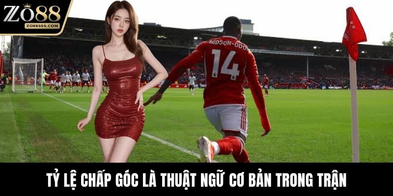 Tỷ lệ chấp góc là thuật ngữ cơ bản trong trận